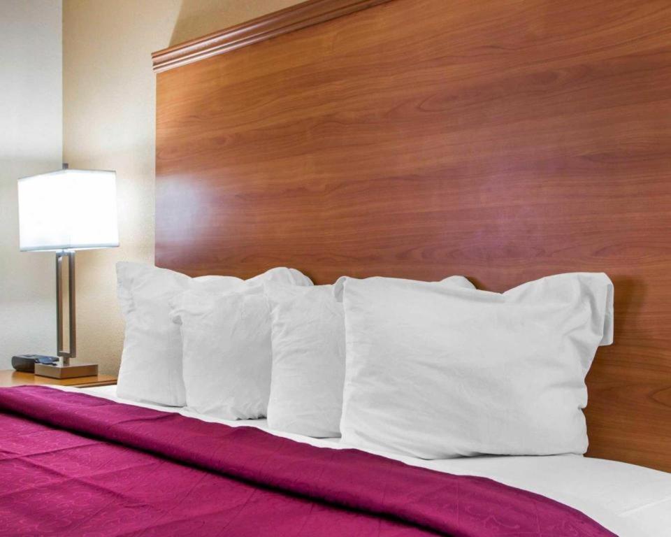 Quality Inn Ottawa Near Starved Rock State Park Bagian luar foto